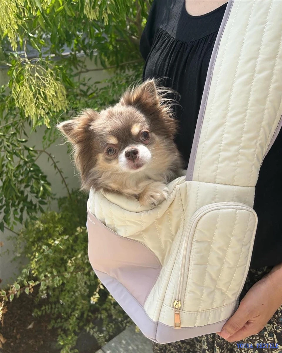 Pet Carrier Bag