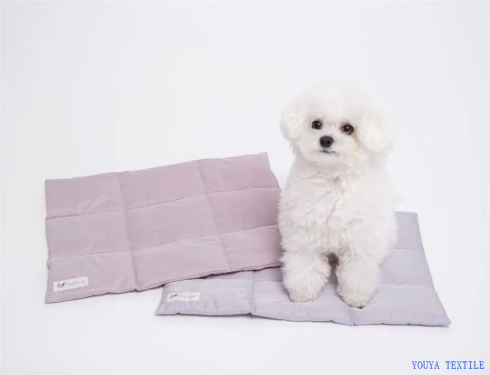 Pet Carrier Bag